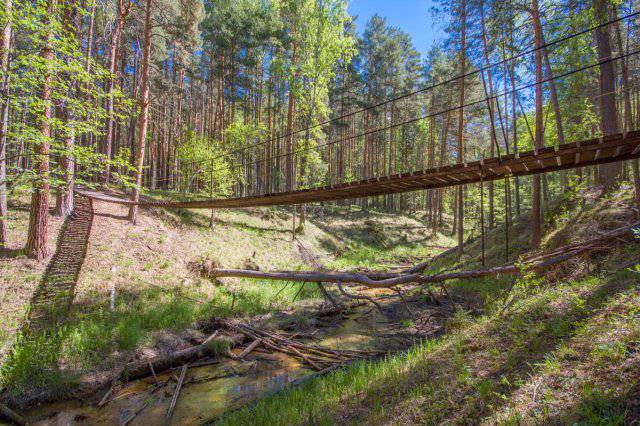 «Припышминские борс» ұлттық саябағы