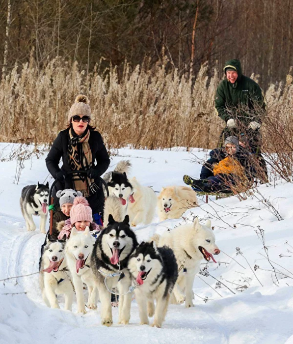 Питомник ездовых собак "Эльбрус"