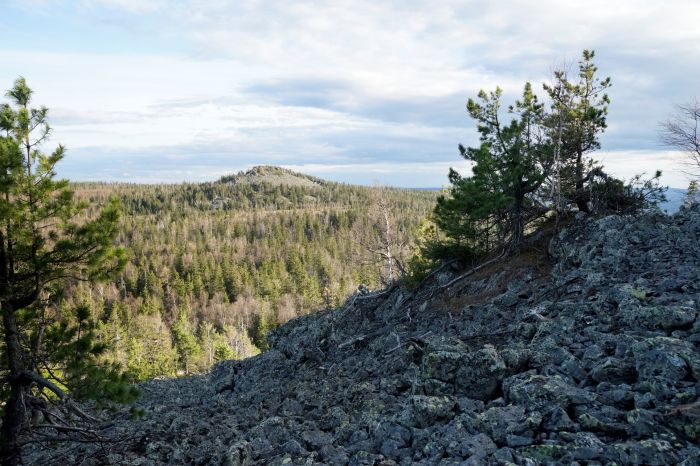 Висимский биосфералық қорығы