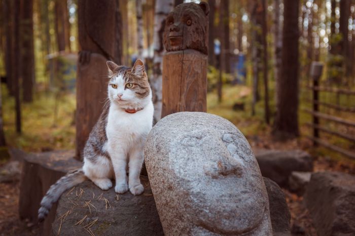 «Бабалар елі» тарихи-этнографиялық саябағы