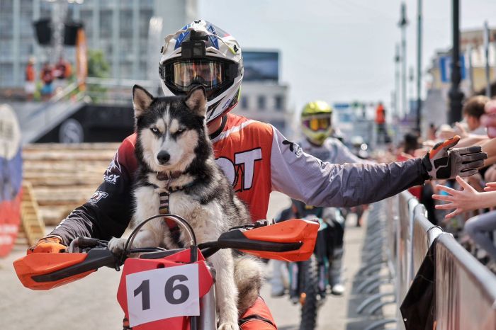 Фестиваль «Движение УРАЛ»