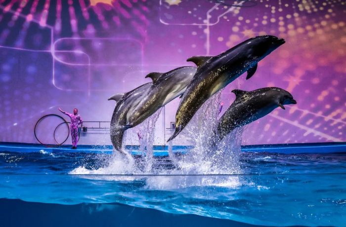 Океанариум