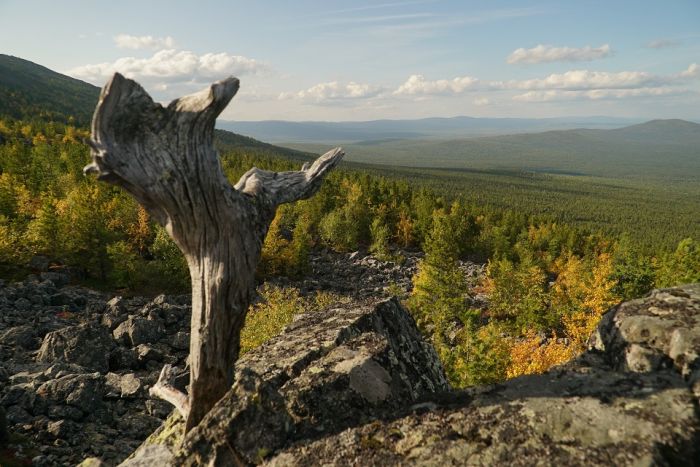 «Денежкин тасы» қорығы