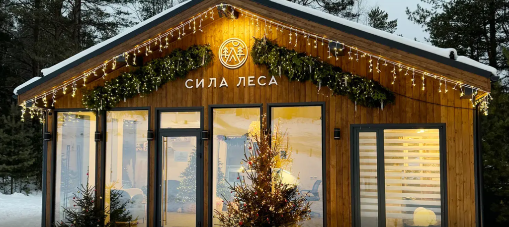 Сила леса.png Сила леса.png