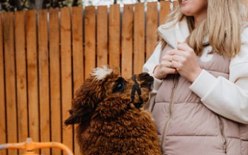 Альпака-ферма "Lulu"