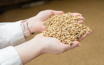 Тагильское пиво