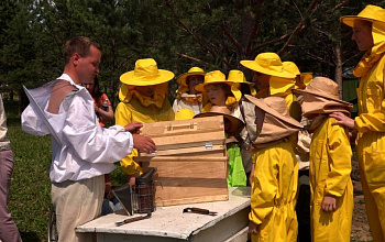 Уральская пчелка