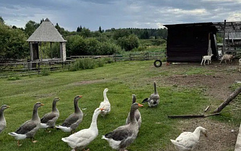 Туристический кластер «Деревня счастливых»